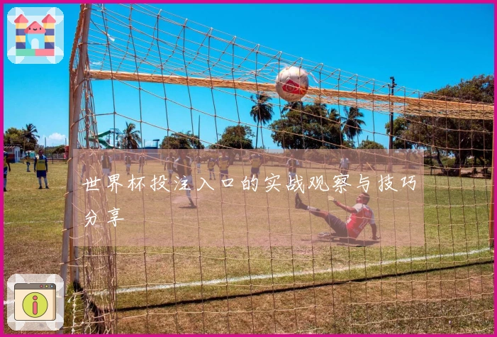 世界杯投注入口的实战观察与技巧分享
