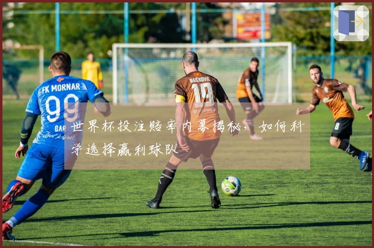 世界杯投注赔率内幕揭秘，如何科学选择赢利球队