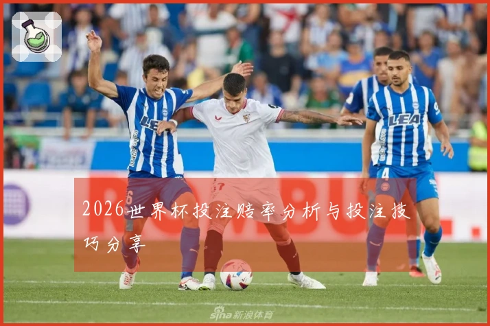 2026世界杯投注赔率分析与投注技巧分享