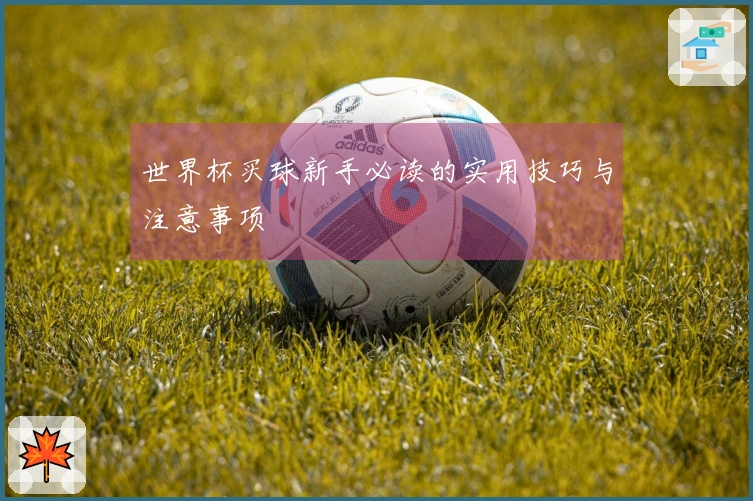 世界杯买球新手必读的实用技巧与注意事项