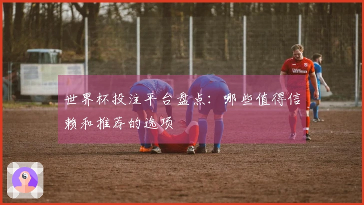 世界杯投注平台盘点：哪些值得信赖和推荐的选项